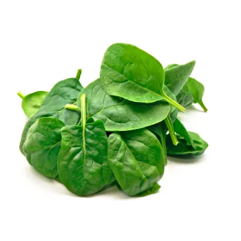 Spinach (39)-5918257-54792.webp
